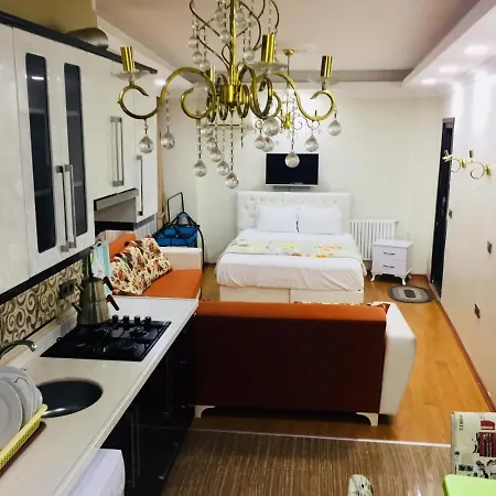 Ayasofya Deluxe Apart Ξενοδοχείο Κωνσταντινούπολη