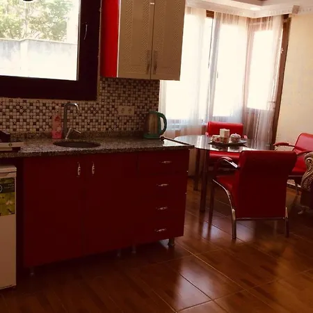 Ayasofya Deluxe Apart Ξενοδοχείο Κωνσταντινούπολη